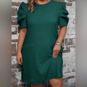 EUC Puff Sleeves Dress 1X